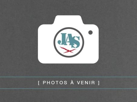 Silencieux Inox Universel Double Entrée/Sortie 55mm, 470mm