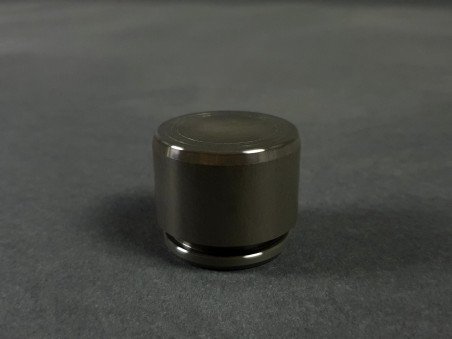 Piston pour Étrier de Frein Avant Brembo Mégane 2 RS / Clio 3 RS