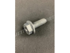 Vis de Fixation Poulie de Déphasage F4R - 82 00 545 704