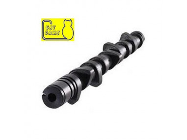 Arbre à Cames Catcams 230 R5 Alpine Turbo
