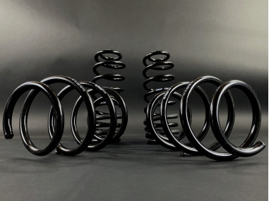 Ressorts Courts Eibach Sportline -30mm Clio 16s / Williams