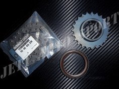 Kit Chaîne de Pompe à Huile F4R - 77 01 478 100 - 7701478100