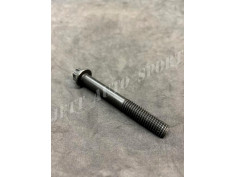 Vis de Palier de Vilebrequin Clio 16s / Williams / Clio 2 et 3 RS / Megane 2 et 3 RS - 82 00 149 640 - 8200149640