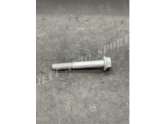 Vis de Fixation Triangle au Berceau 5 Gt Turbo / Clio 16s / Williams - 77 03 002 700 - 7703002700