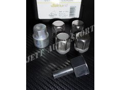 Écrous Antivol de Roue 12X125 2