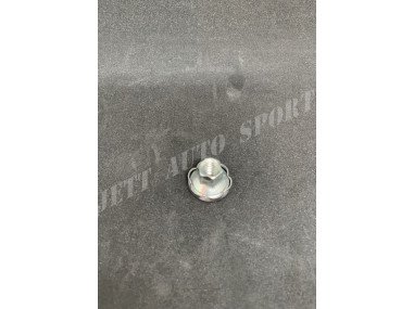 Écrou de Collecteur Échappement Clio RS 172 / 182 et Clio 3 RS 197 / 200 - 7703034303 - 77 03 034 303