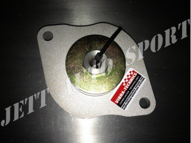 Support Moteur Côté Boîte de Vitesses Vibra Technics Twingo RS - REN322M