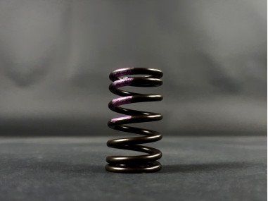 Ressort de Soupape Origine Clio 3 RS / Megane 3 RS (x1) - 82 00 487 162 - 8200487162