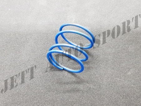 Ressort pour Dump Valve Double Piston JAS ou Forge (petit ressort) - FMSS114.b