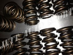 Ressorts de Soupapes Doubles Renforcés Catcams Clio 16s / Williams / R19 16s