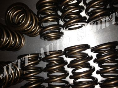 Ressorts de Soupapes Doubles Renforcés Catcams Clio 16s / Williams / R19 16s