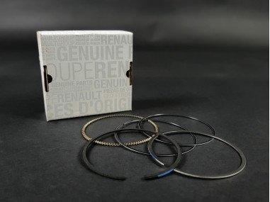 Segmentation 1 Cylindre OEM Clio 2 et 3 RS - 7701474725 - 77 01 474 725