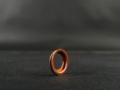 Joint de Bouchon de Vidange Clio 4 RS