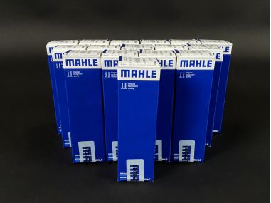 Soupapes Monobloc Clio 2 et 3 RS / Megane 2 RS (x16)