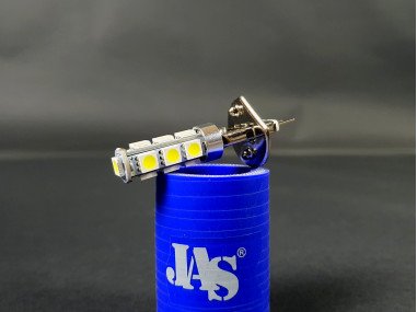 Ampoules H1 à Leds 6000K (x2)