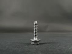 Vis Plenum - Cale Porte Injecteurs Clio 2 RS