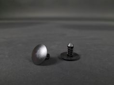 Clip Absorbant (Écran) Acoustique Capot Megane 3 RS (x1)